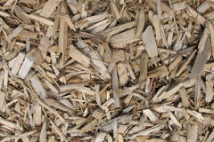 biomass boilers Doseley